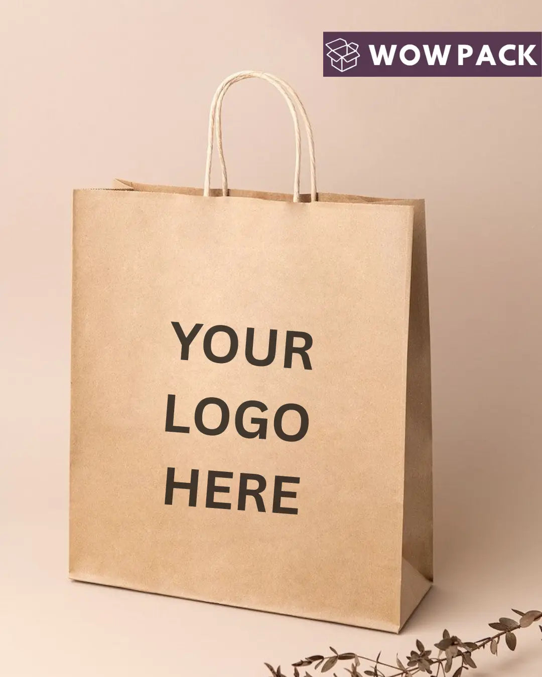 Printed Kraft Paper Carry Bags with Handle | Eco-Friendly Shopping & Packaging Bags